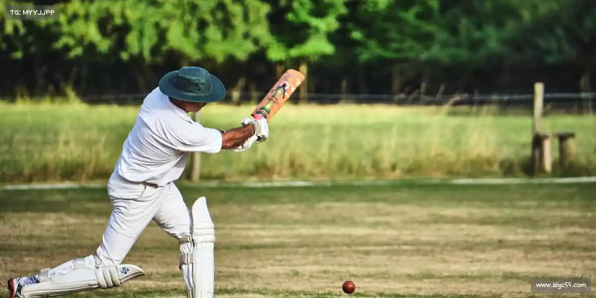 行业领先的理由